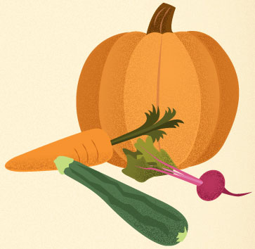 vegetables illustration