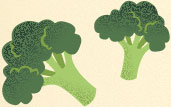 broccoli