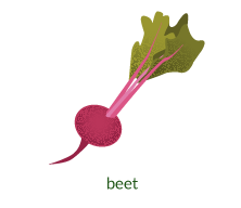 beet
