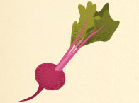 beet