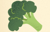 broccoli