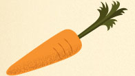 carrot